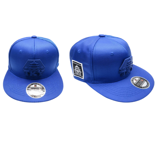 GORRAS SURTIDAS P-501