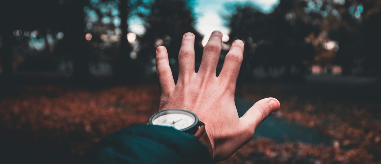 A person's hand extends towards a blurred, colorful outdoor autumn scene, wearing a wristwatch.
